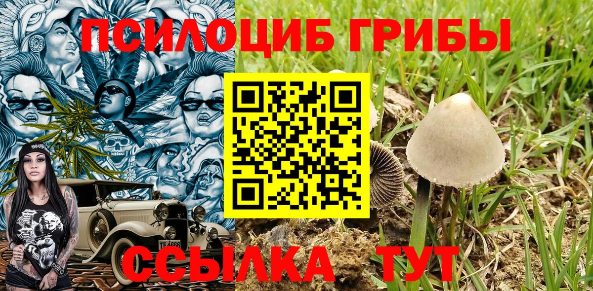 купить наркотики сайты  Вход с VPN  Белово  Псилоцибиновые грибы ЛСД  Псилоцибиновые грибы GOLDEN TEACHER 