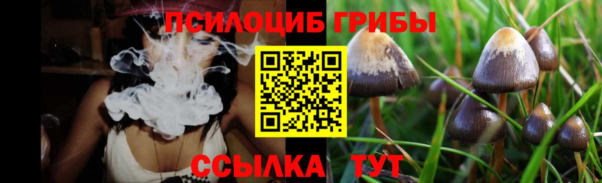 Псилоцибиновые грибы ЛСД Белово